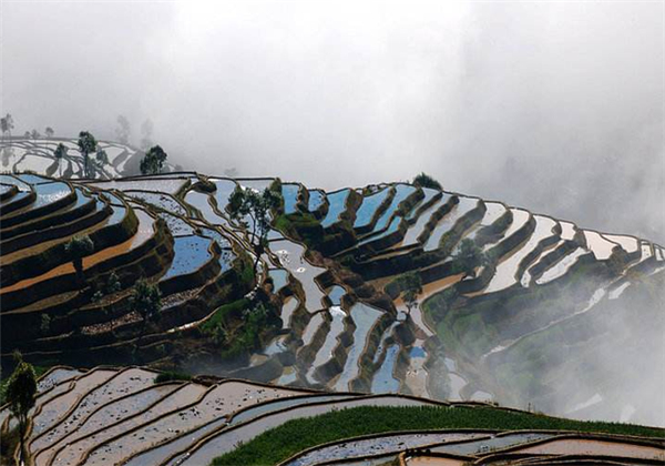 介绍一波云南哈尼族的特色美食！发现少数民族最真实的样子