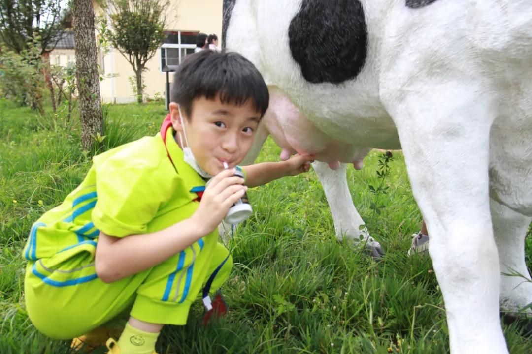 红河泸西研学膳食营养主题研学