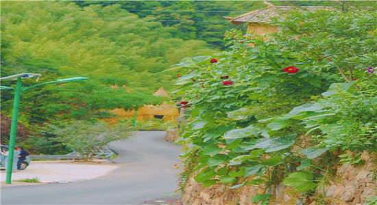 红河旅游