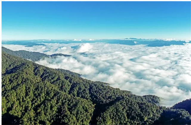 红河大围山林深幽静，山美水好。“寒冬腊月花不谢，冬暖夏凉四季春