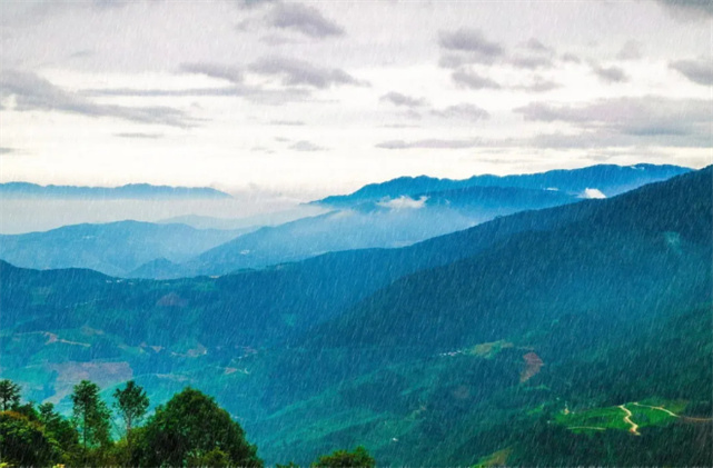 山在观山色，雨来听雨声