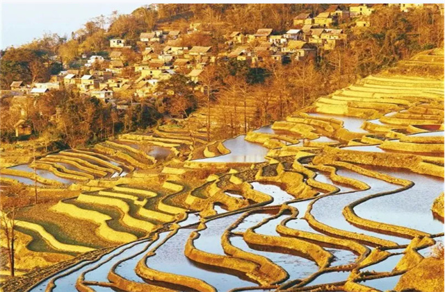 文旅IP在云南｜红河：让“哈尼梯田”没有淡季