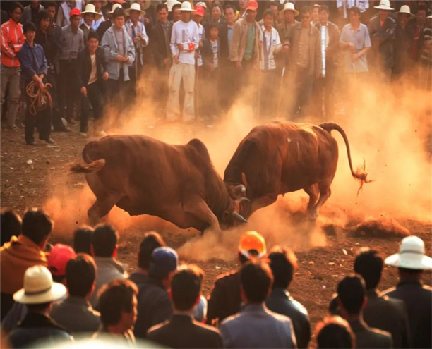 红河定制旅游；“旅游+”结硕果！弥勒可邑小镇入选“2022中国体育旅游精品项目”