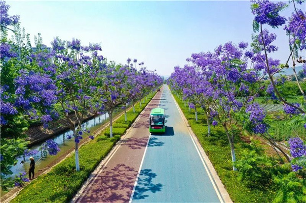 云南旅游,云南旅行社,云南团建公司,云南策划公司,云南会议会展公司,云南策划执行公司,红河旅游,红河旅行社,红河团建公司,红河策划公司：初夏的红河，绝美！