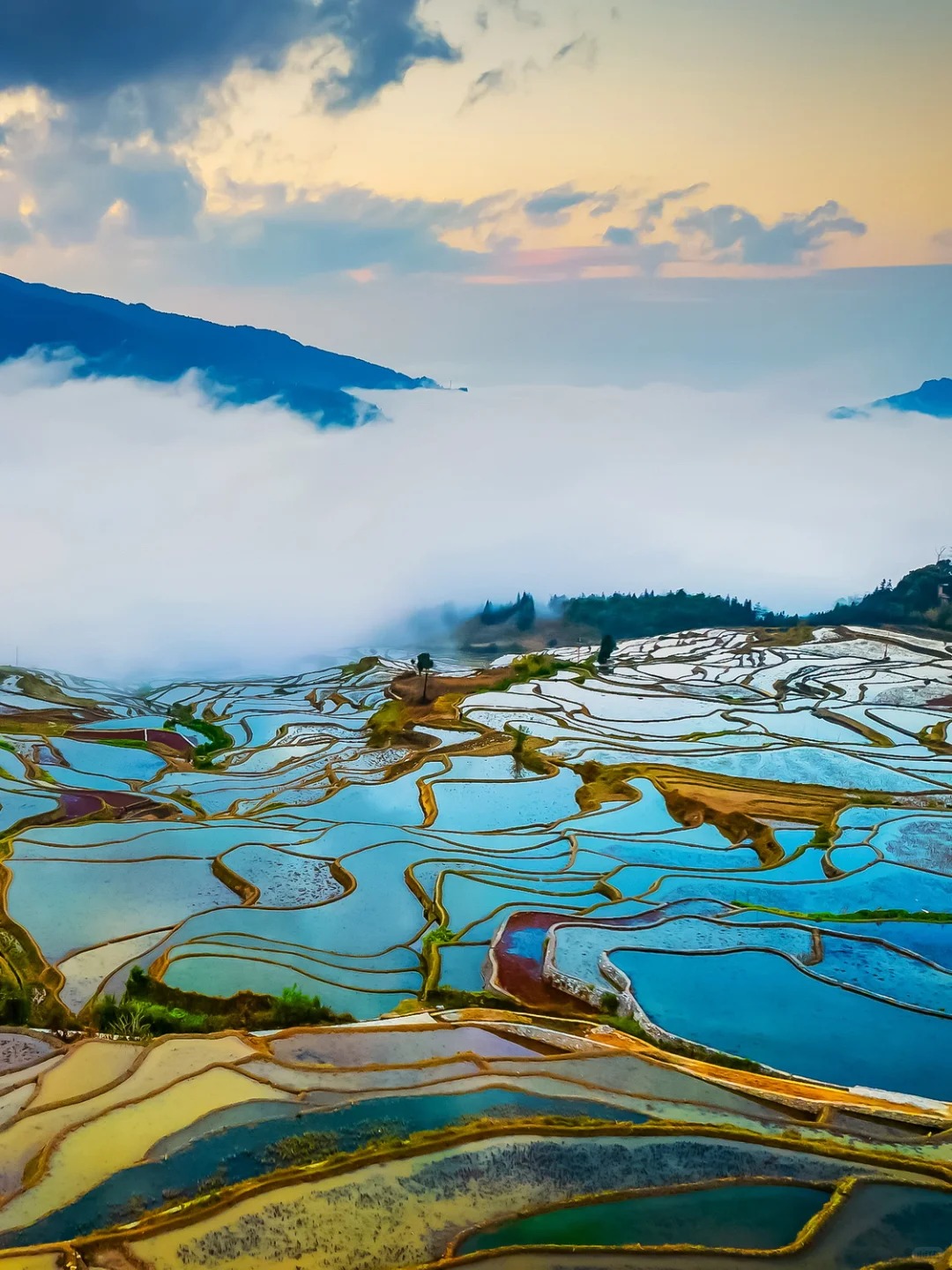 云南旅游,云南旅行社,云南团建公司,云南策划公司,云南会议会展,云南旅游地接,红河旅游,红河旅行社,红河团建公司：元阳梯田醉美季节！千顷波光，晃晕你的眼