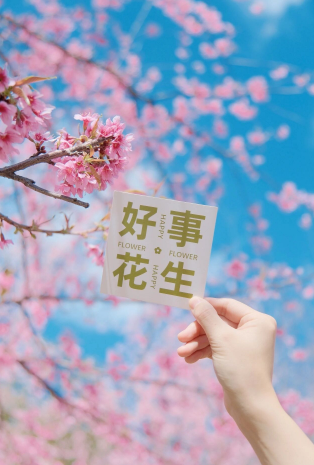 云南策划执行,红河旅游,红河旅行社,红河团建公司,红河策划公司,红河会议会展:小寒丨蒙自粉了~这份粉红赏花攻略请查收~