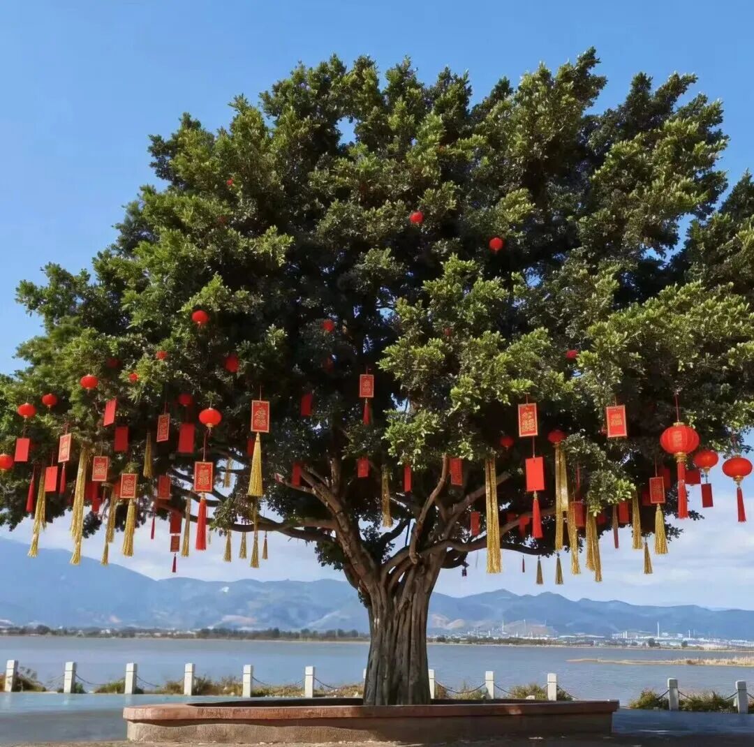 云南旅游,云南旅行社,云南团建公司,云南策划公司,云南会议会展,红河旅游,红河旅行社,红河团建公司,红河策划执行： 春节到蒙自尼苏小镇，赏味游趣全解锁，攻略直抄不踩雷！