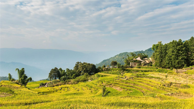 红河旅游：睡进红河的云海里，做一场野奢的梦