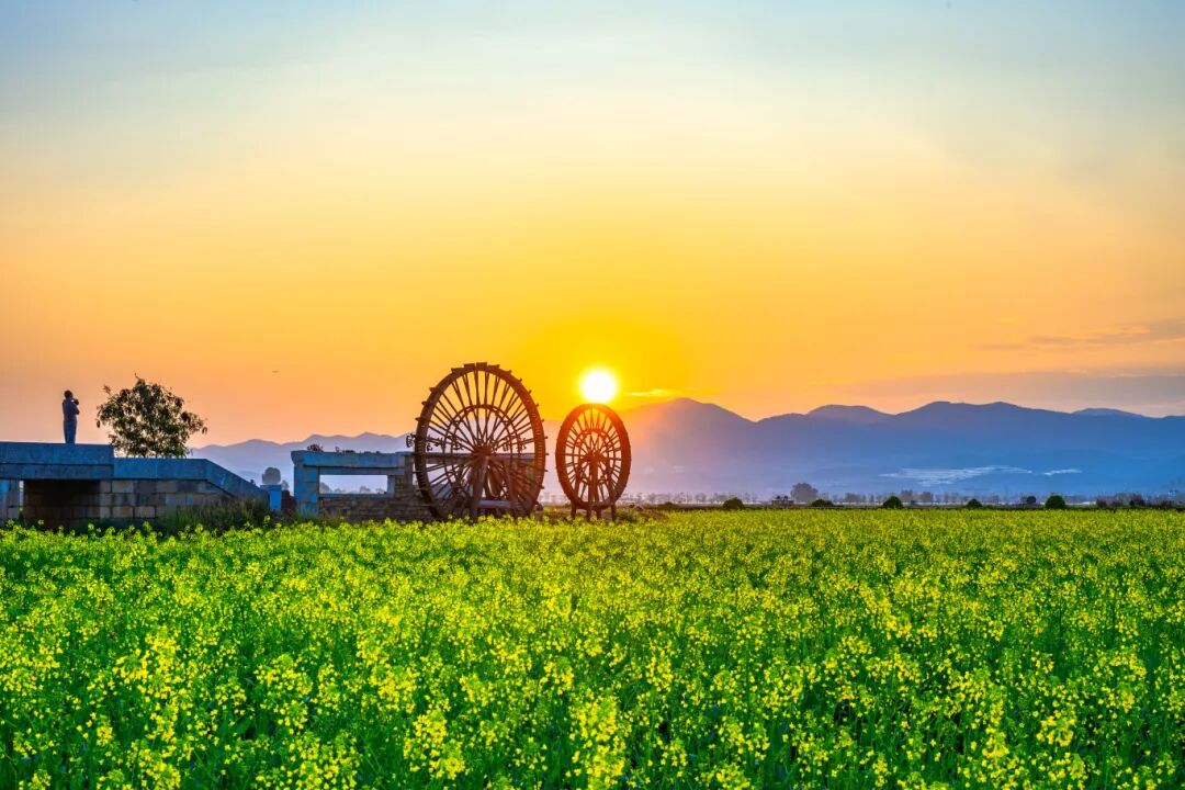 云南旅游,云南旅行社,云南团建公司,云南策划公司,云南会议会展,红河旅游,红河旅行社,红河团建公司,红河策划公司：6KM起！邂逅油画般的云南早春，这条宝藏赏花线藏不住了！