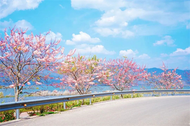 红河旅游：四月，来红河！